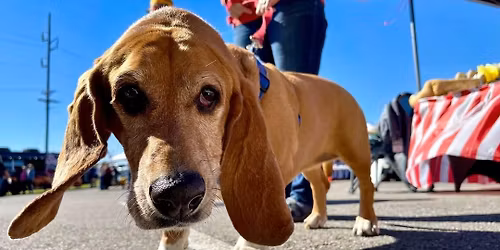 BARKtoberfest 2025 | Lake Eufaula, OK