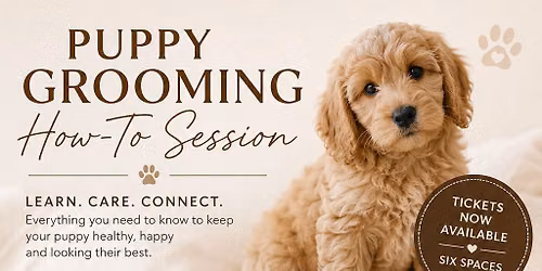 Puppy Care & Grooming - How-to Session for new dog parents! 
