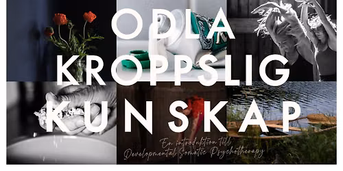 Odla kroppslig kunskap. En introduktion till Developmental Somatic Psychotherapy
