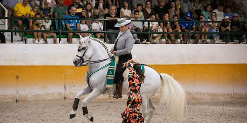 Espect\u00e1culo ecuestre y flamenco en M\u00e1laga | Horse & Flamenco show in Malaga