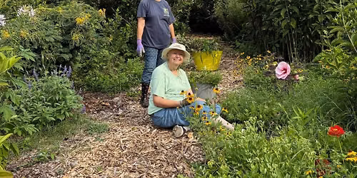 Volunteer Day