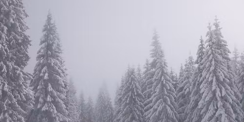 Winter Solstice Sound Bath