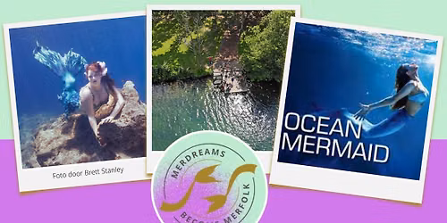 Ocean Mermaid - Put van Ekeren - met Mermaid Lelie