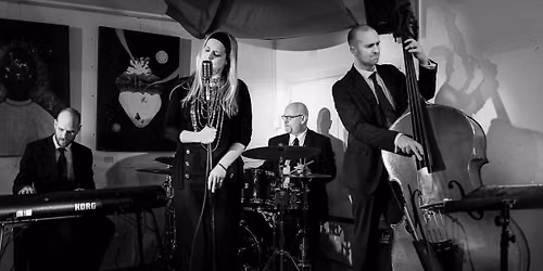 Blue Ray Band featuring Roberto Manzin