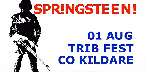 SPR!NGSTEEN! live @ Trib Fest Co Kildare