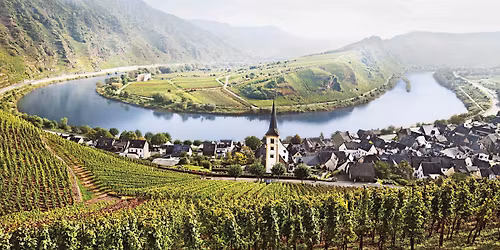 \ud83c\uddf1\ud83c\uddfaLuxembourg Wine Tasting