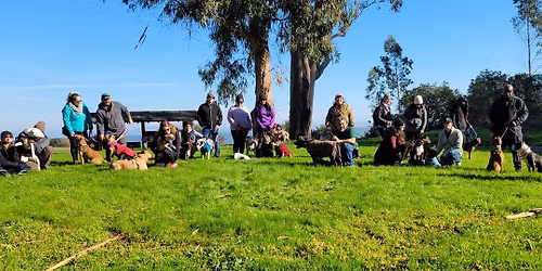 Community Pack Walk: Pt. Pinole