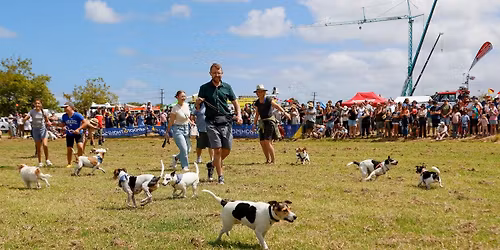 122nd Helensville A&P Show