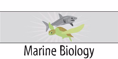 Marine Biology -  9 am -  Grades 3 & 4