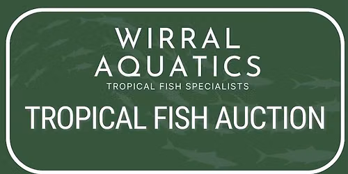 Tropical fish club and auction night