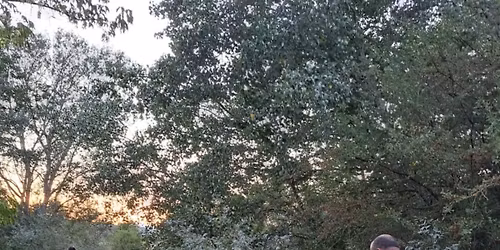 Mantrailing tanfolyam