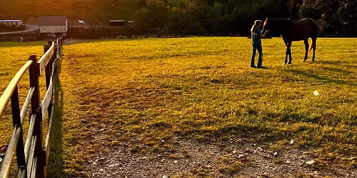 Free Tack & Stuff Giveaway & Sale