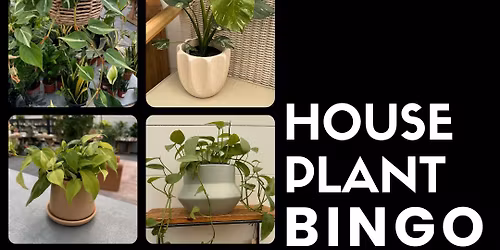 House Plant Bingo