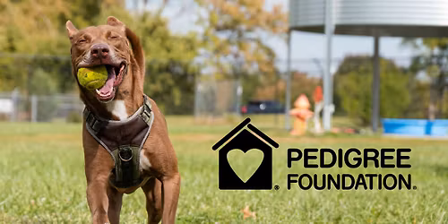 ARL Foster to Forever Adoption Event