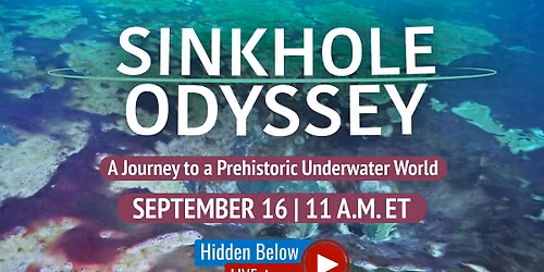 Hidden Below Sinkhole Odyssey Livestream