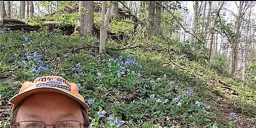 Native and Invasive Plants with Jeremy Beavin