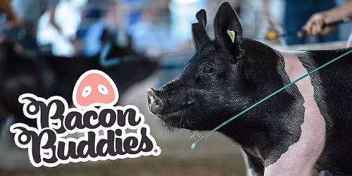 Sioux County Fair Bacon Buddies Swine Show
