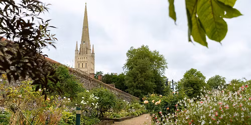 Bishop's Garden open day in aid of Norfolk WIldlife Trust