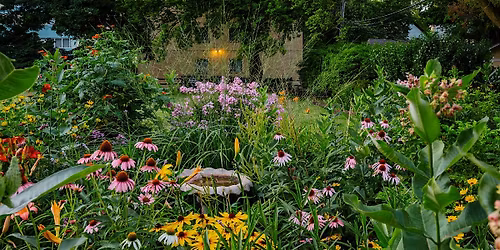 Free Garden Class: How to Design and Install a Perennial Bed