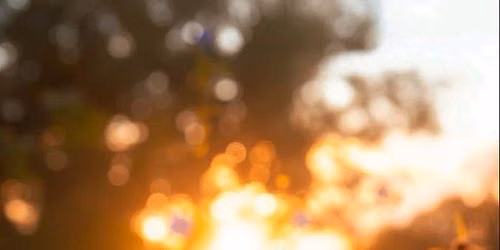 Summer Solstice Reiki Sound Bath 