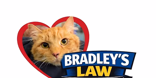 Bradley\u2019s Law Community Kickoff Meeting