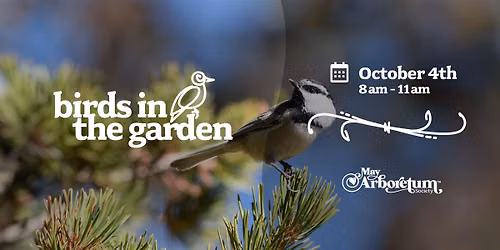 Birds in the Garden
