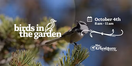 Birds in the Garden