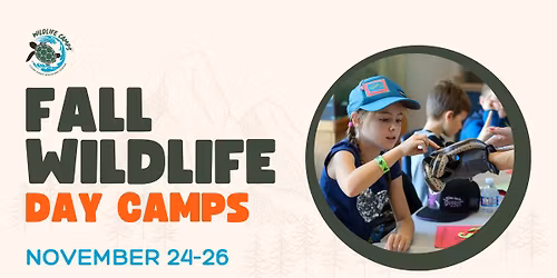 Fall Wildlife Day Camps