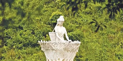 \u09e8\u09ea\u09ef\u09ef \u099f\u09be\u0995\u09be\u09af\u09bc \u099a\u09be\u09af\u09bc\u09c7\u09b0 \u09b0\u09be\u099c\u09a7\u09be\u09a8\u09c0 \u09b6\u09cd\u09b0\u09c0\u09ae\u0999\u09cd\u0997\u09b2 \u09a1\u09c7 \u09b2\u0982 \u099f\u09cd\u09b0\u09bf\u09aa