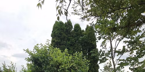 Ekstraordin\u00e6r \u00e5rsm\u00f8de 2026