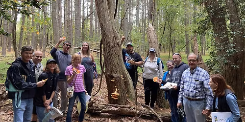 Mushroom 101 and Foraging Class