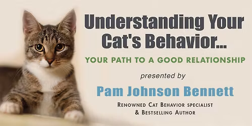 Understanding Your Cat's Behavior- Your Path To A Good Relationship