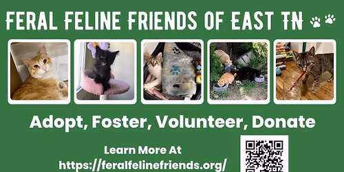 FFF Petsmart EMORY ROAD Adoption Event