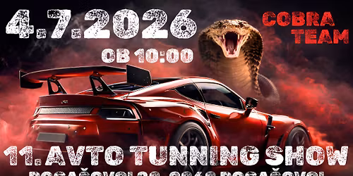 11.AVTO-TUNNING SHOW COBRA TEAM