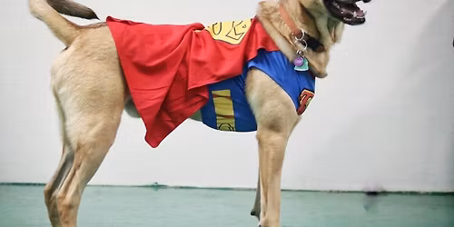 Jordan's Way Bowl Fundraiser