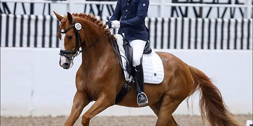John Mason Dressage Clinic