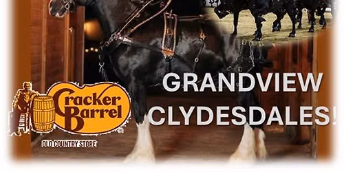 GRANDVIEW CLYDESDALES