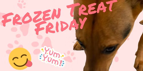Frozen Treat Friday at Wagging Tails Pet Resort