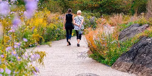 Find Your Fall: New York Botanical Garden