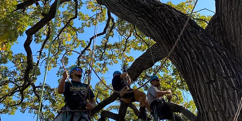 Beginning Tree Climbing course (2-days)