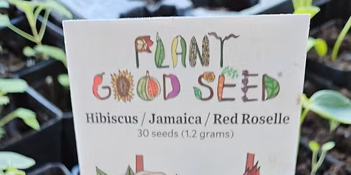 Plants (Natives, Apothecary, Veggies) Wild Infused Treats and more!  