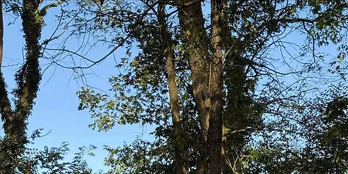 All Abilities RAMble