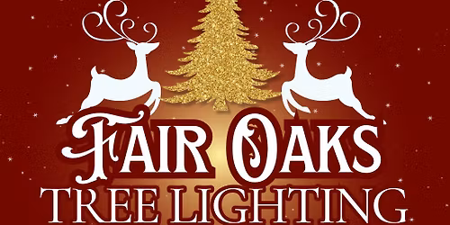 Fair Oaks Tree Lighting