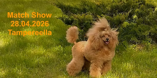 Match Show 28.04.2026 Tampereella