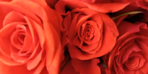 \u2728 Inner Child Healing Workshop \u2728 yoga sound healing journaling