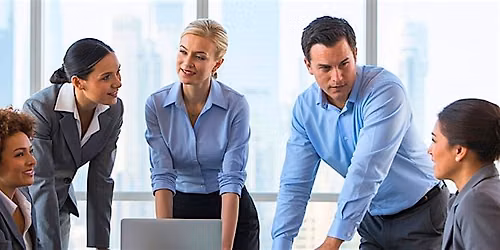 The APS Internal Consultant: Advanced Strategy, Policy & Business Case