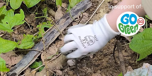 [Go Green SG] Invasive Species Management Programme