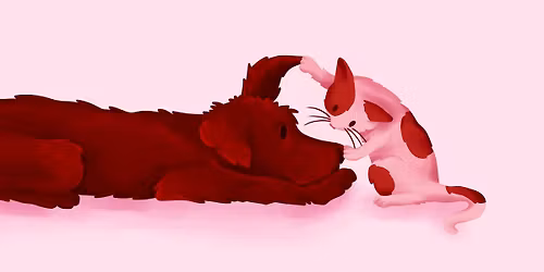 Chats et Chiens face \u00e0 la science