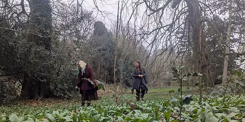 Williamson Park Forage