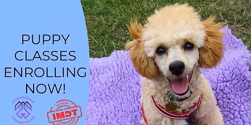 March Puppy School! Cotham, Bristol, BS6